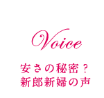 Voice